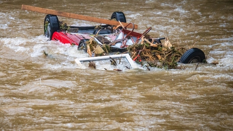 На 11 юни на територията на община Вършец е констатирано