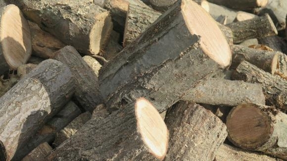 Откриха незаконни дърва в двора на къща във Врачанско съобщиха