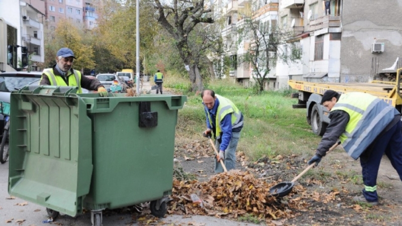 Започна извозването на падналите листа във Видин съобщиха от общината
