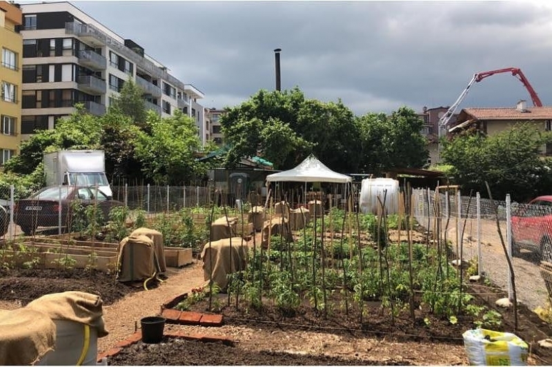 Ползвателите на зеленчукови градини направени неправомерно върху общински имоти около