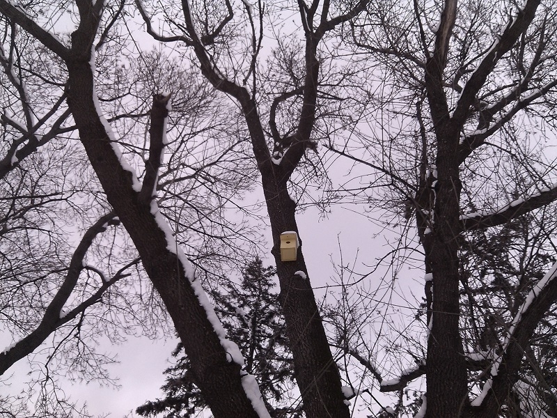 Само седем дни през месец декември въздухът в Монтана е