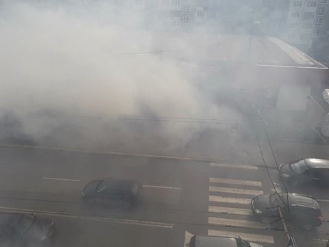 Хвърлен фас подпали озеленяването на заведение за бързо хранене в