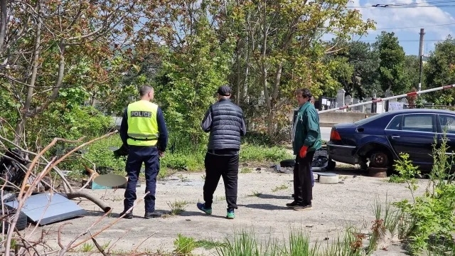 Полицията във Враца разследва масово отравяне на кучета и котки