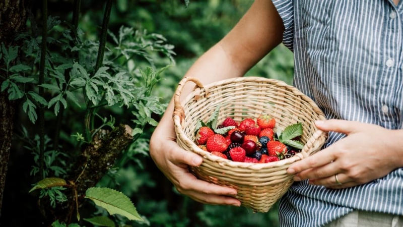 След боледуването от коронавирус тялото със сигурност се нуждае от много