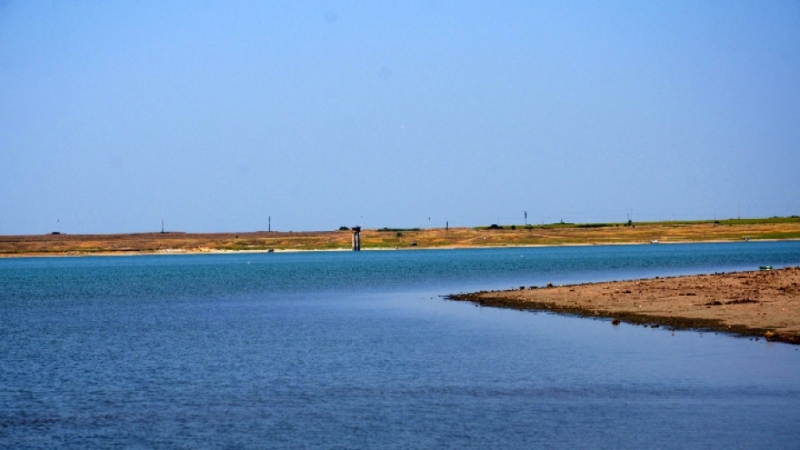 Обезпокоителен сигнал за изплували мъртви шарани във водите на езерото Рабиша подадоха рибари