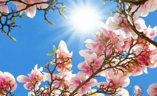 Ледени висулки увиснаха от разцъфналите клони на череши сливи праскови