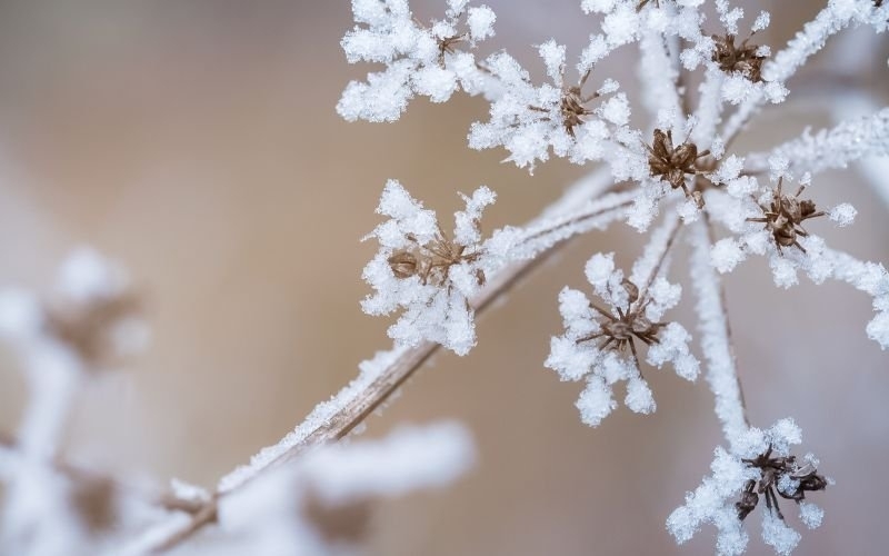 След обяд над много райони облачността ще се разкъса и