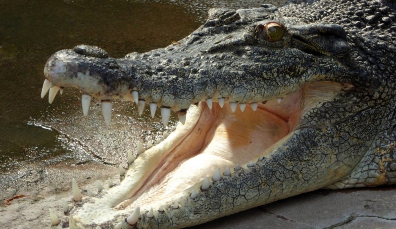 Останките на австралиец изчезнал по време на риболов с приятели