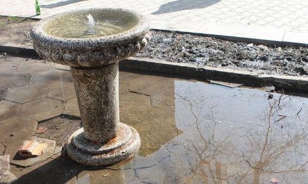 Водата в обществените чешми и водопровода на Босилеград и село