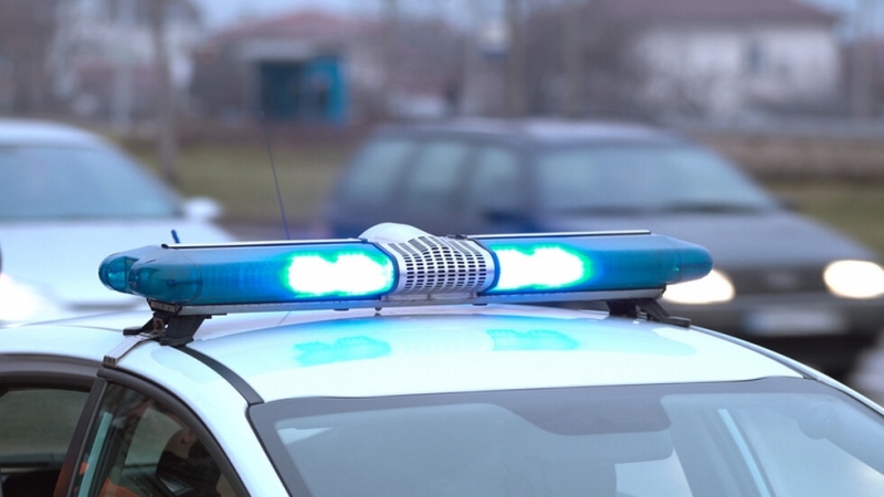 Камион разсипа на платното трупове на животни и затрудни движението