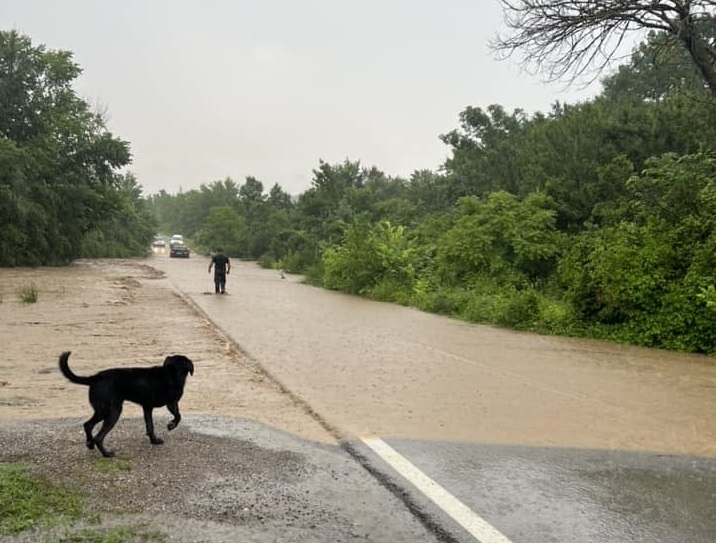 Обилни валежи заляха Криводол научи агенция BulNews
Вследствие на пороя пътят