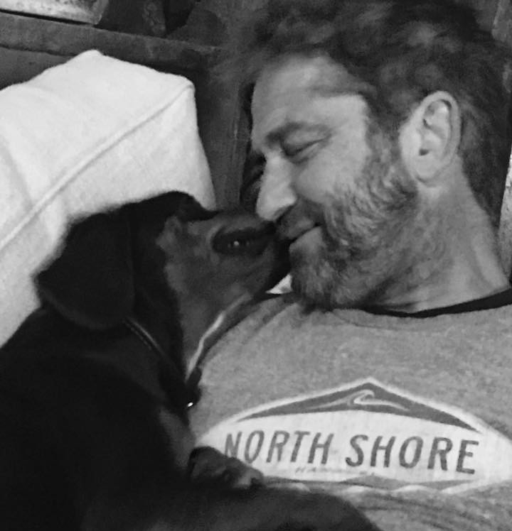 Актьорът Джерад Бътлър е осиновил кученце от България Той пусна