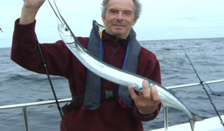 Морето е пълно със зарган Паламудът вече си отива и