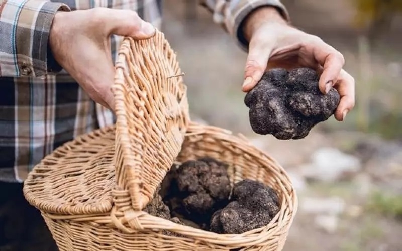 Билкарите се оказаха едни от най засегнатите от предложените от министерството