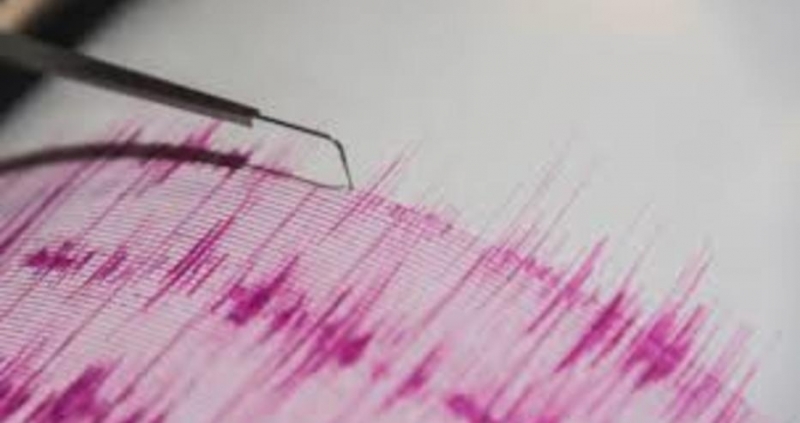 Земетресение с магнитуд 3 9 по Рихтер е било усетено