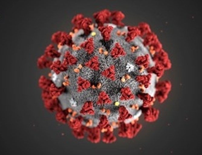 Заразените с коронавирус в света надхвърлиха 30 милиона и 72