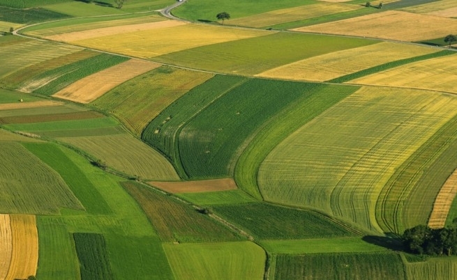 Най големият собственик на земеделска земя в България Ставен АД