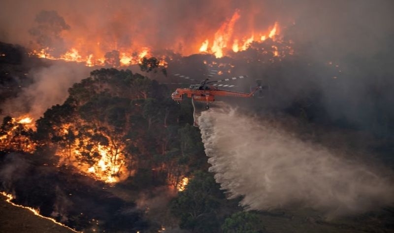 Димът от горските пожари в Австралия пресече Тихия океан и