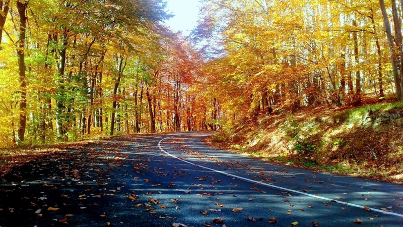 Днес ще бъде слънчево Преди обяд на места ще има мъгла