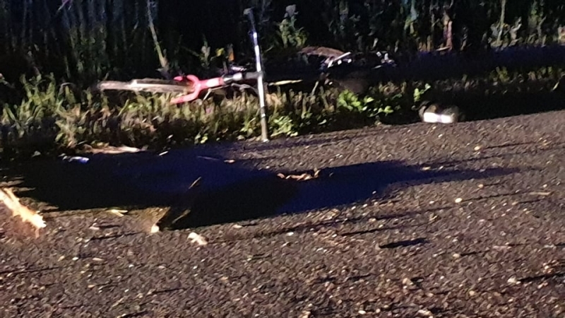 Дете загина при тежка катастрофа между каруца велосипеди и автомобил