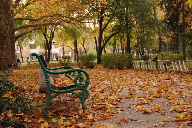 Днес минималните температури ще бъдат от нула до 5 градуса