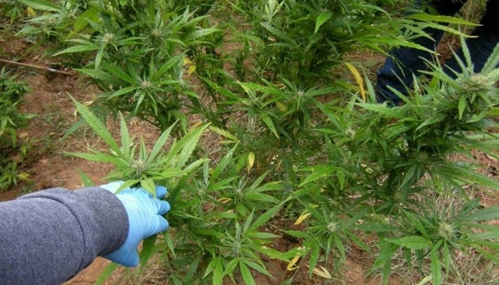 Районният съд в Мездра наложи глоба от 1 000 лева