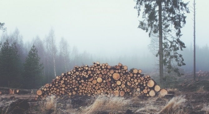 25 годишен мъж от смолянското село Горна Арда е в кома