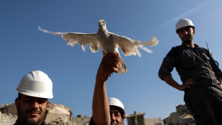 Германия ще приеме близо 50 членове от сирийската неправителствена организация