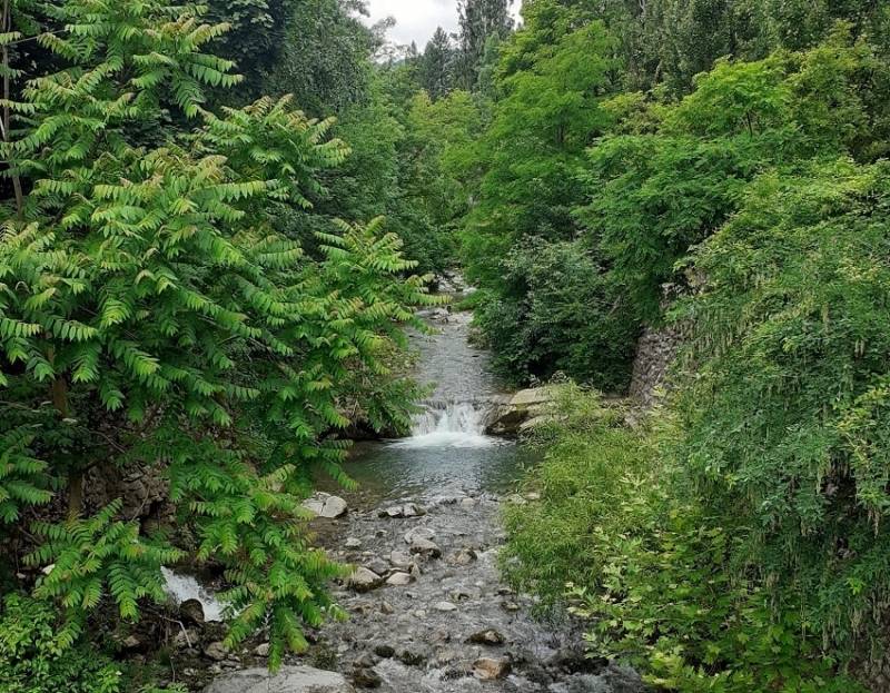 Жители на Згориград вбесиха съселяните си след като наториха с