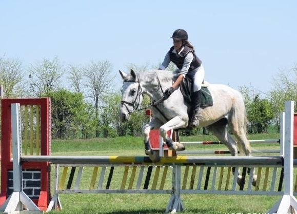 Над 1000 души от региона се стекоха на хиподрума във