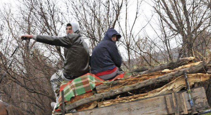 Полицаи са хванали петима превозващи незаконни дърва в каруца край