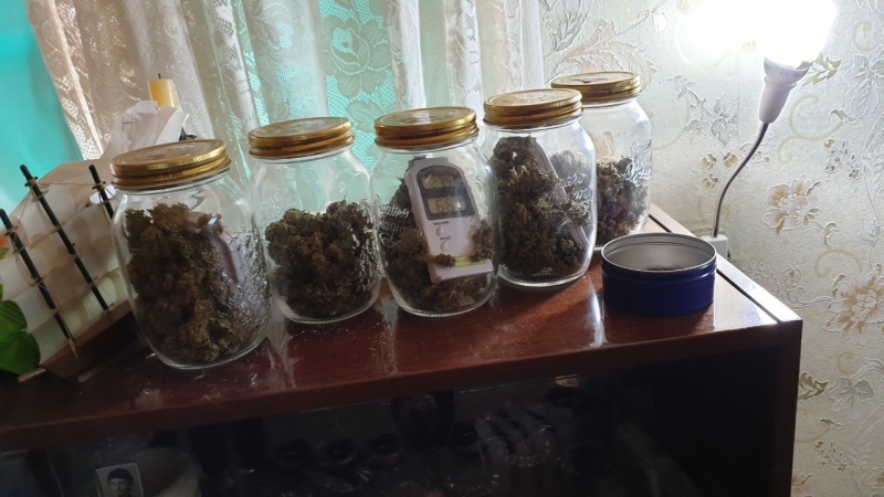 Истински удар са направили служителите на реда в Лом съобщиха