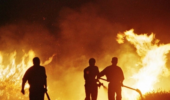 Пожар е унищожил 70 декара царевични насаждения във Врачанско съобщиха