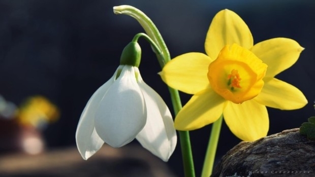 Валежите с които запомнихме неделния ден се оттеглят заедно с