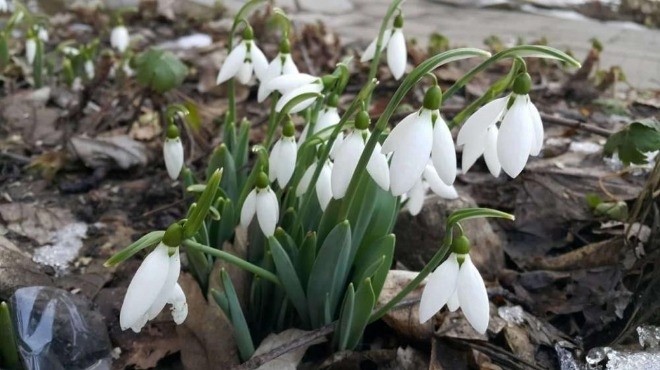 Днес облачността ще се увеличи като в края на деня