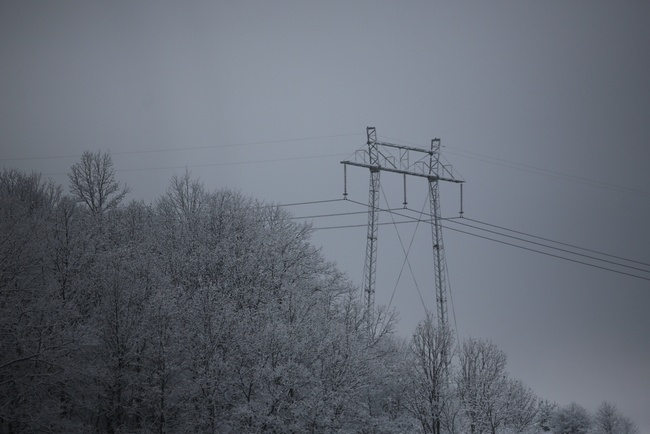 В седем общини от област Видин има населени места с