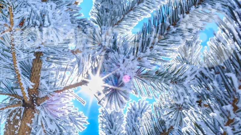 През нощта облачността над страната временно ще се увеличи но