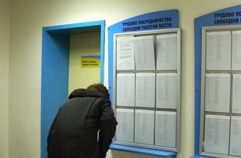 Останали сте без работа? Ето какви са предложенията във Видинско
