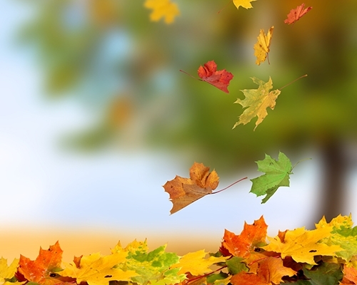 Днес облачността над страната ще се задържи предимно значителна съобщиха