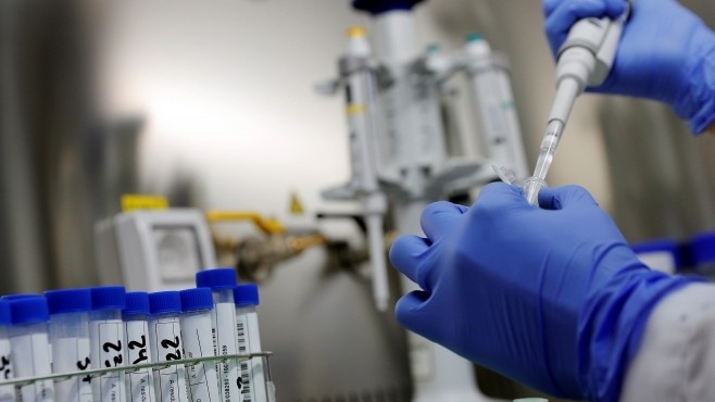 83 са новодиагностицираните с коронавирусна инфекция лица през изминалите 24