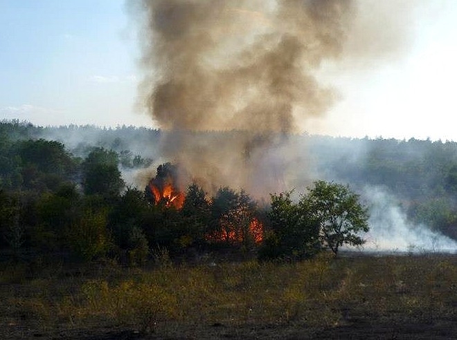 Пожар горя до моста в козлодуйското село Гложене научи BulNews