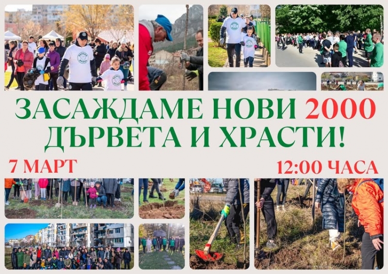 Засаждат 2 000 нови дървета и храсти във Враца
