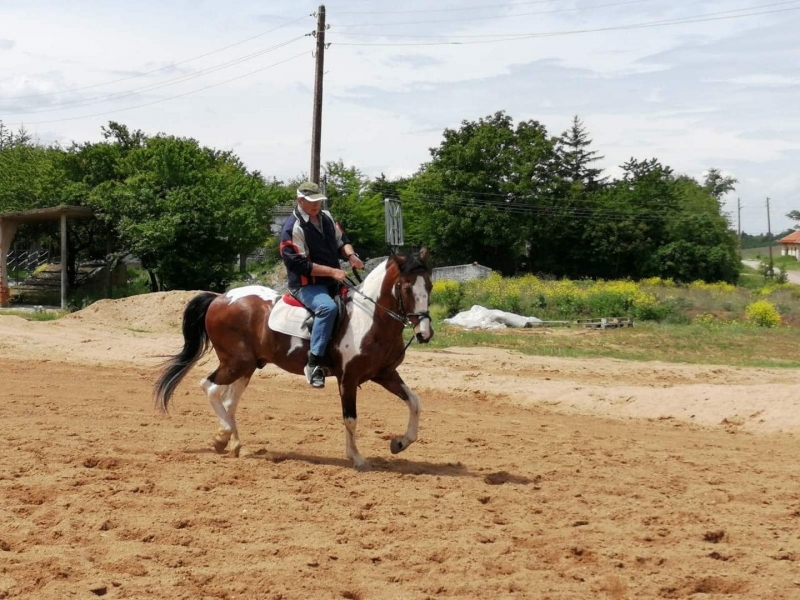 Конен турнир организират в монтанското село Расово на 8 май