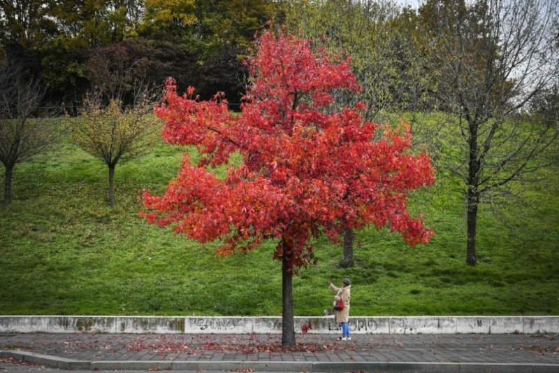 През следващото денонощие времето ще остане предимно облачно но ще