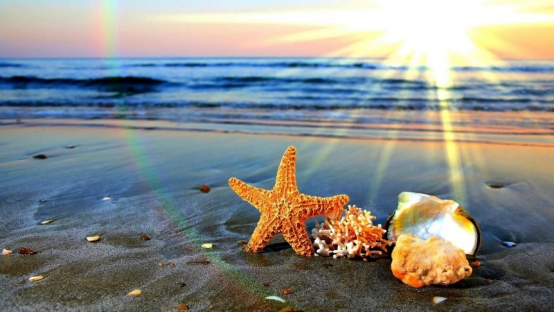 Днес ще бъде предимно слънчево В сутрешните часове на места