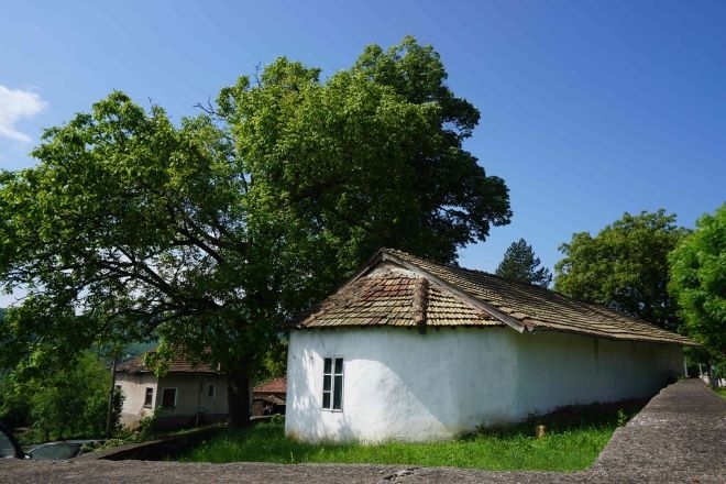 С указ на Президента на Република България Румен Радев бе