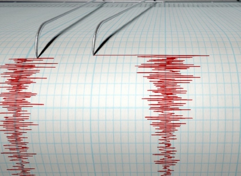Земетресение с магнитуд 3 4 е регистрирано тази сутрин край Кърджали