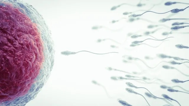 Темпът на намаляване на броя на сперматозоидите при мъжете се