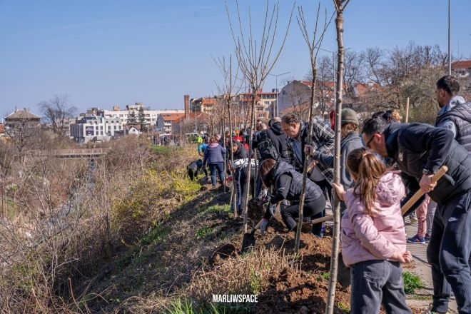 Във втората инициатива на кампанията Зелена Враца бяха засадени 500