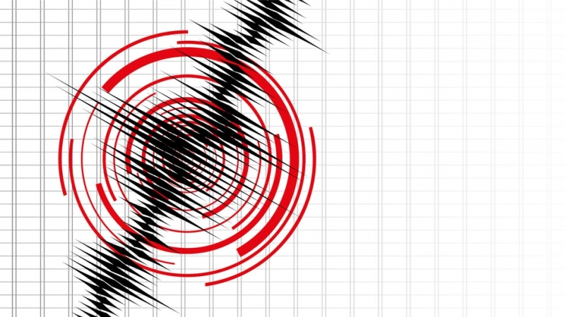 Земетресение с магнитуд 4 4 по Рихтер е било регистрирано тази